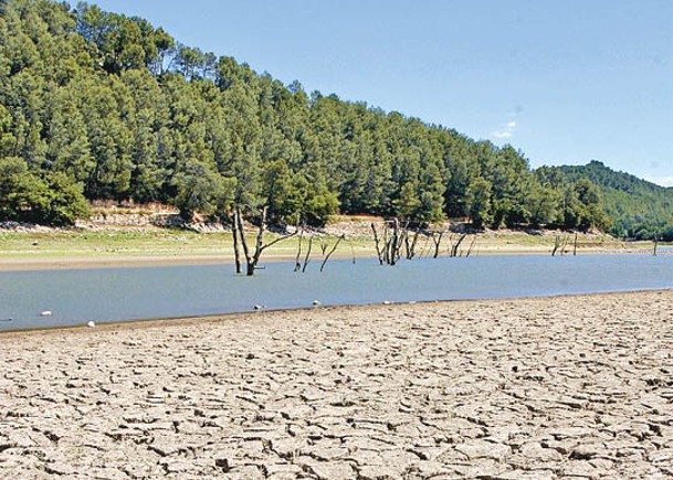 法國近期的乾旱問題不斷惡化。