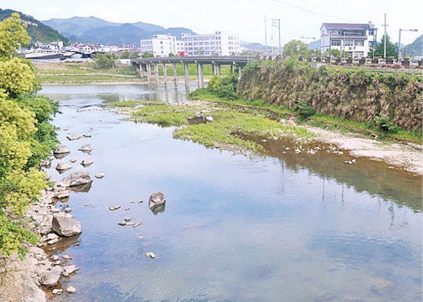 小鰾鮈主要生活在麗水甌江流域。