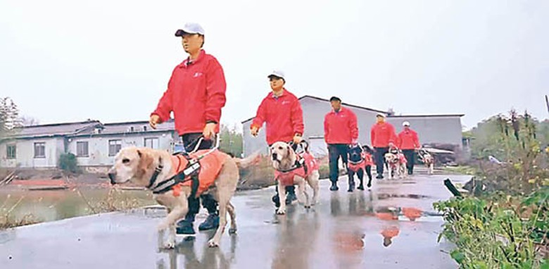 江蘇省首個導盲犬訓練基地在常州市開業。