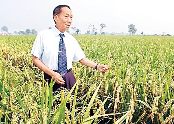 發文侮辱袁隆平  網民判管制半年