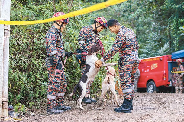 馬來西亞搜救人員出動搜救犬協助行動。（Getty Images圖片）