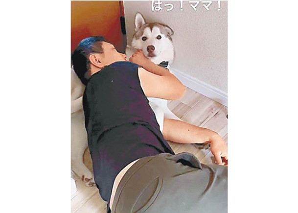 男主與犬擁眠  被撞破似捉姦