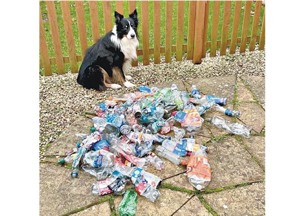 英環保小狗 回收逾1000膠樽