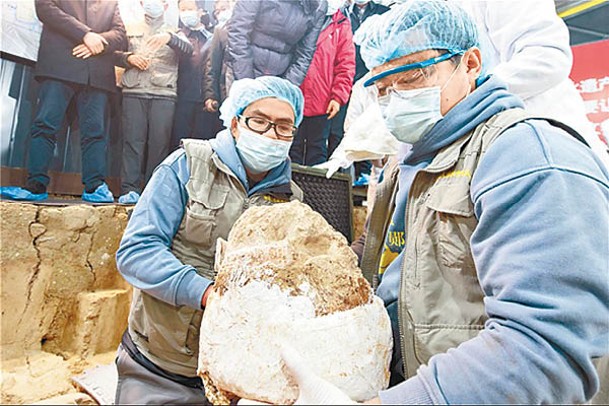 考古團隊成功提取頭骨化石。