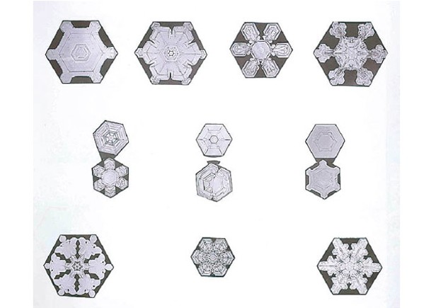 雪花顯微相片  數碼化展現