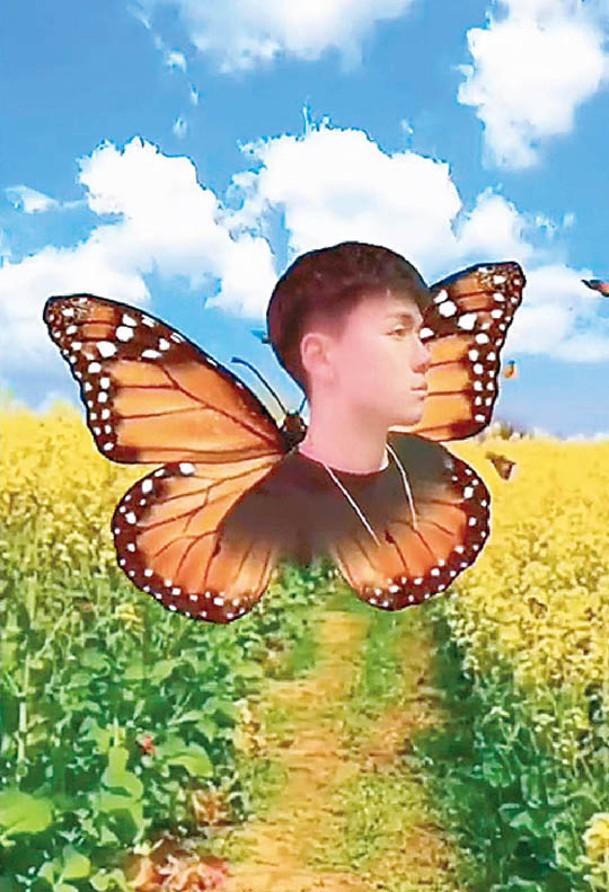 兒子的頭像被貼在蝴蝶身上。