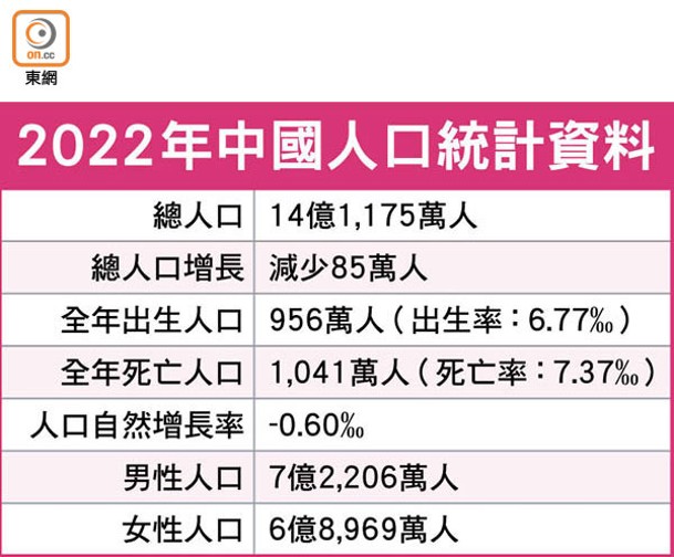 2022年中國人口統計資料