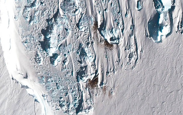 衞星圖片顯示出皇帝企鵝糞便痕迹。