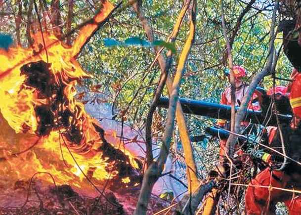桂林銀礦山山火  逾500人撲救