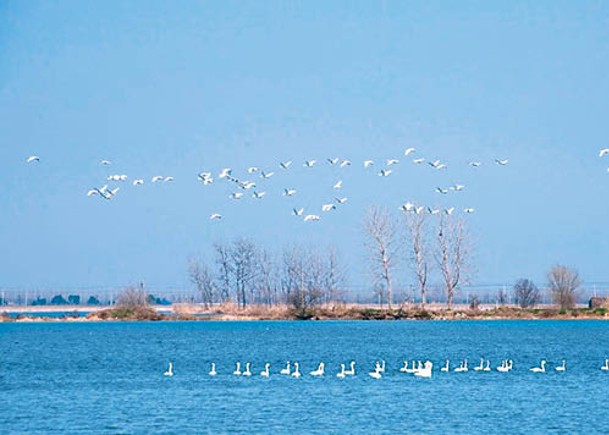 內地新增江蘇淮安白馬湖（圖）等多處國際重要濕地。