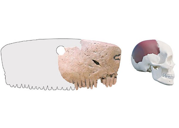馬歇爾發現「巴爾山梳子」由人頭骨製（右圖），左圖為「巴爾山梳子」的復原圖。