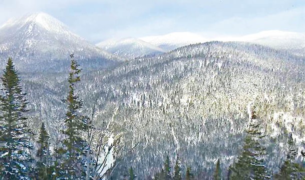 雪崩發生時奧斯蒂蓋在山腰，而積雪從山上滾下。