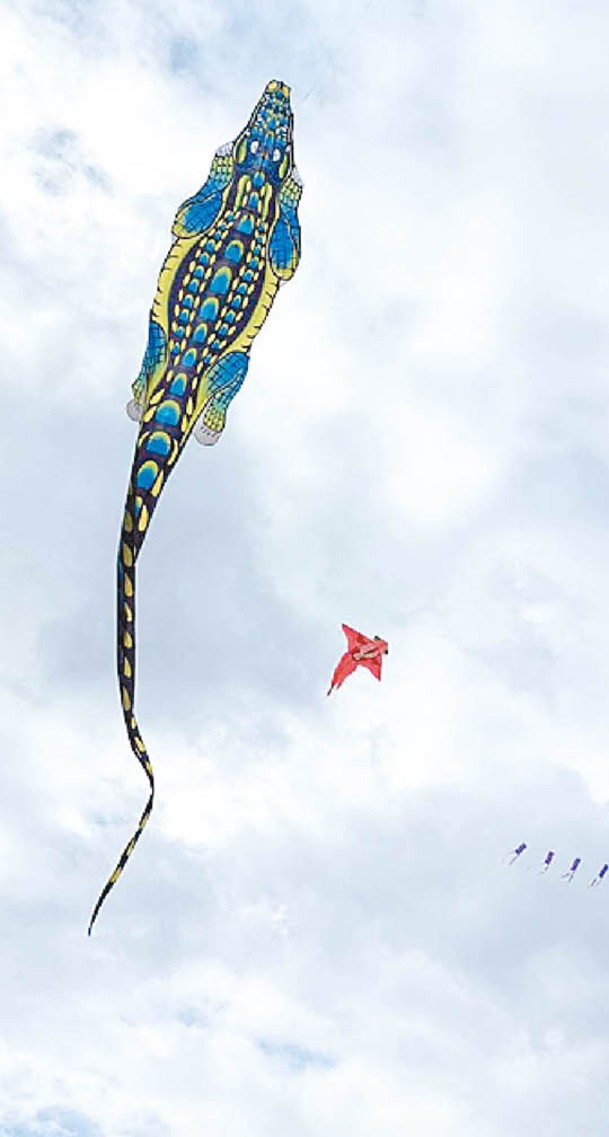 風箏愛好者在活動中放飛形態各異的風箏。