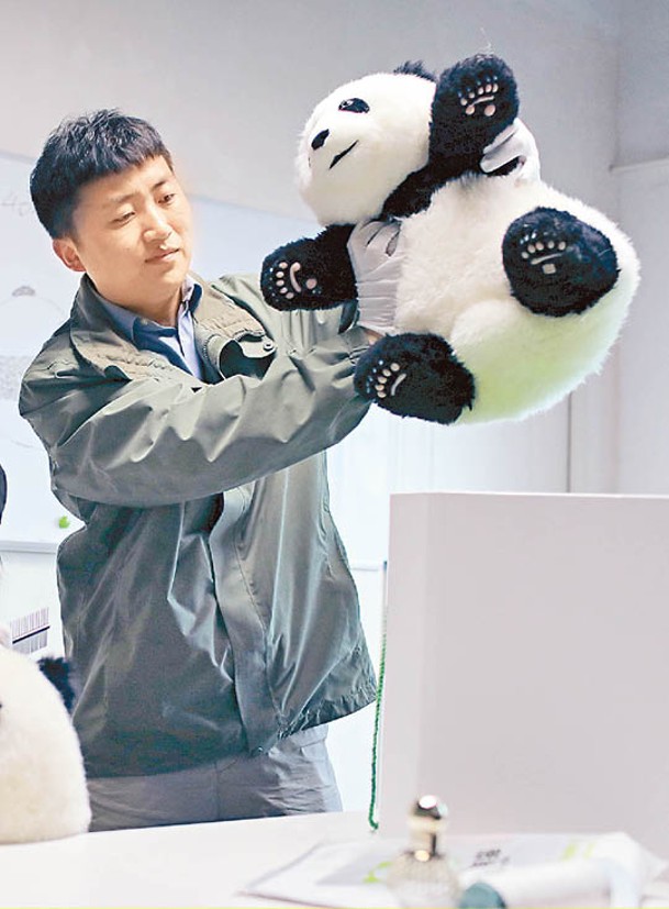 劉滔製造仿真大熊貓玩偶。