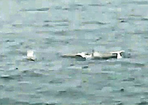 台灣白海豚  2年出沒413隻次