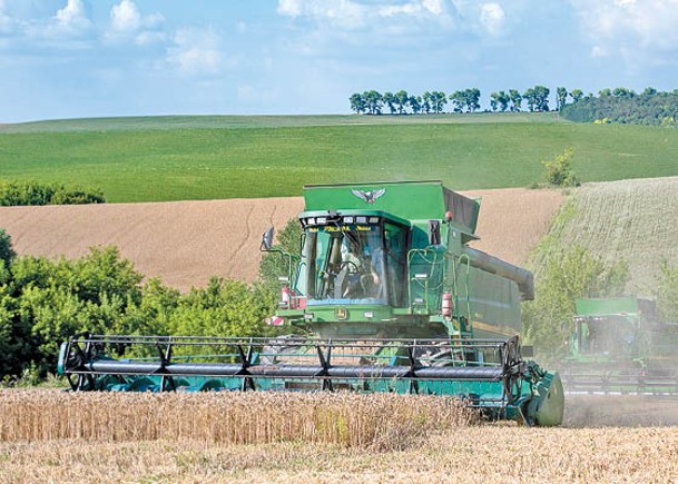 波蘭停進口烏穀物  回應農民抗議