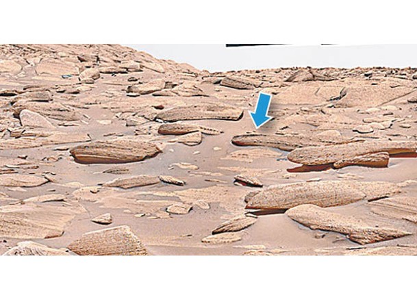 火星揭魚骨形岩石