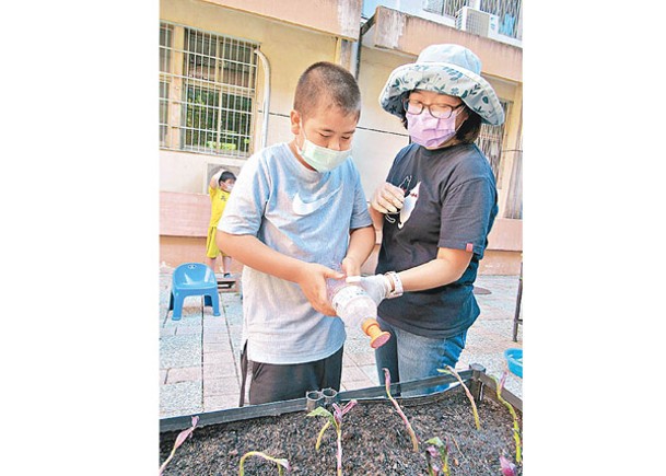 台師推食農教育  特殊學生自給自足