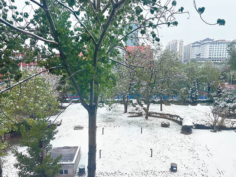 網民分享山西省長治市落雪的圖片。