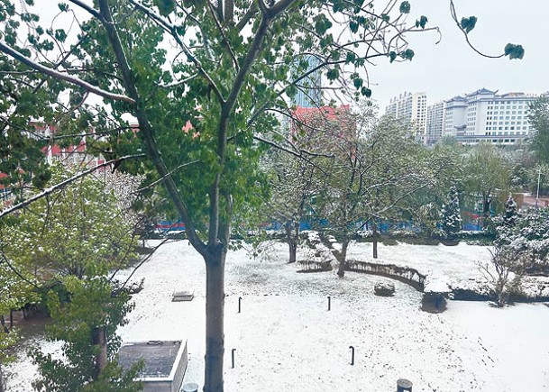 網民分享山西省長治市落雪的圖片。