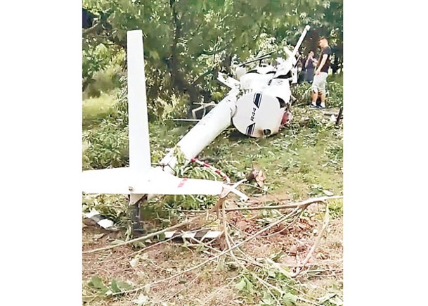 直升機殘骸壓斷樹枝。