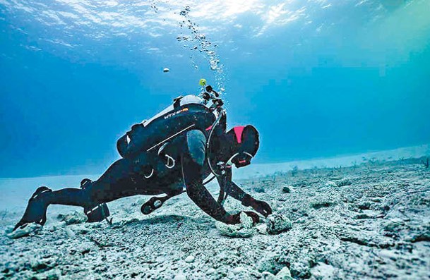 專家認為巴哈馬海洋考古學潛力極大。