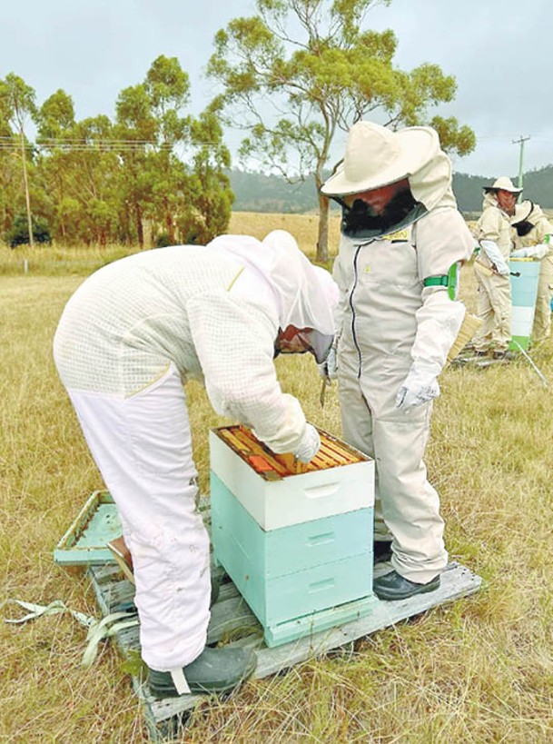 在里奇蒙舉辦的比賽中，參賽者須作各種關於養蜂知識的測試。