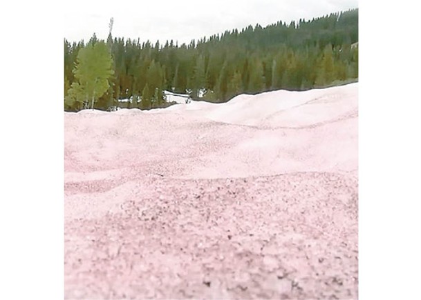 「西瓜雪」由極地雪藻引起。