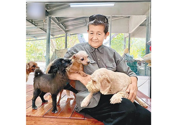 七旬善心泰婦賣樓  飼養2400流浪貓狗