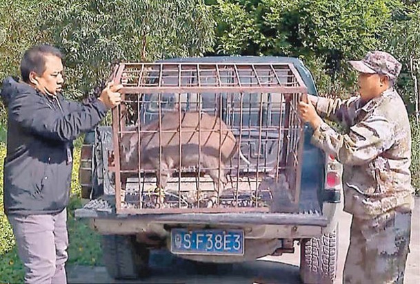 獵者需嚴格遵守禁獵區域、禁獵期、禁用獵捕工具和獵捕方法等法規。