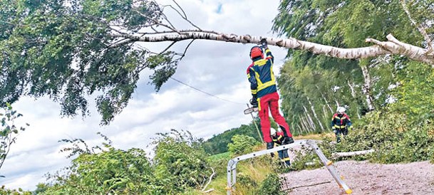 德國消防員清理因強風而倒下的樹木。