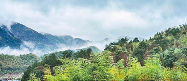 青年團隊主要在山上營地舉辦研學活動及團建等項目。