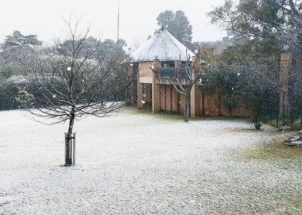 南非約翰內斯堡  罕見下雪