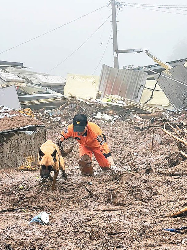 搜救人員帶搜索犬在慶尚北道災區工作。<br>（Getty Images圖片）