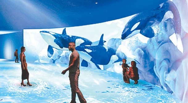 數碼藝術空間會投射出實物大鯨魚游泳影像。