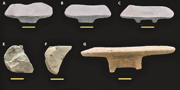 考古學家在遺址發現多個古代石磨工具。