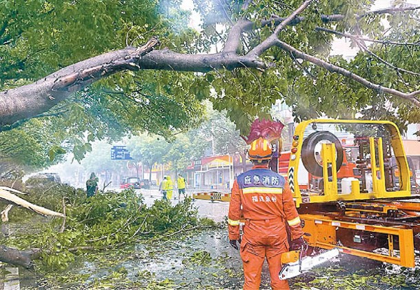 福建：圖為福建消防救援人員清理被狂風掀翻的樹木。（中新社圖片）