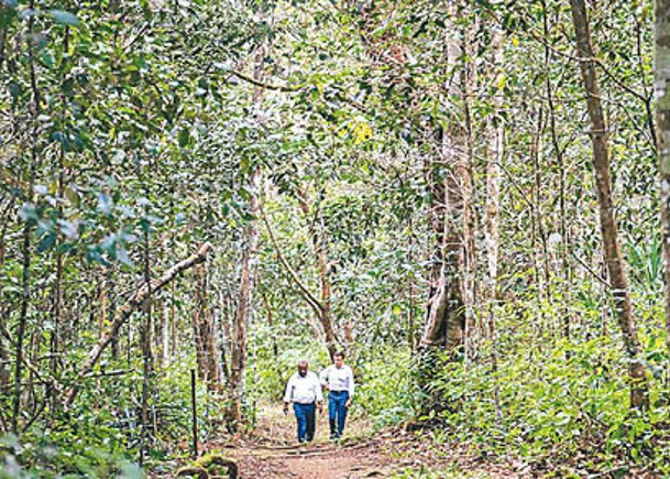 法國宣布以夥伴合作，獎勵巴布亞新幾內亞保育原始森林的努力。