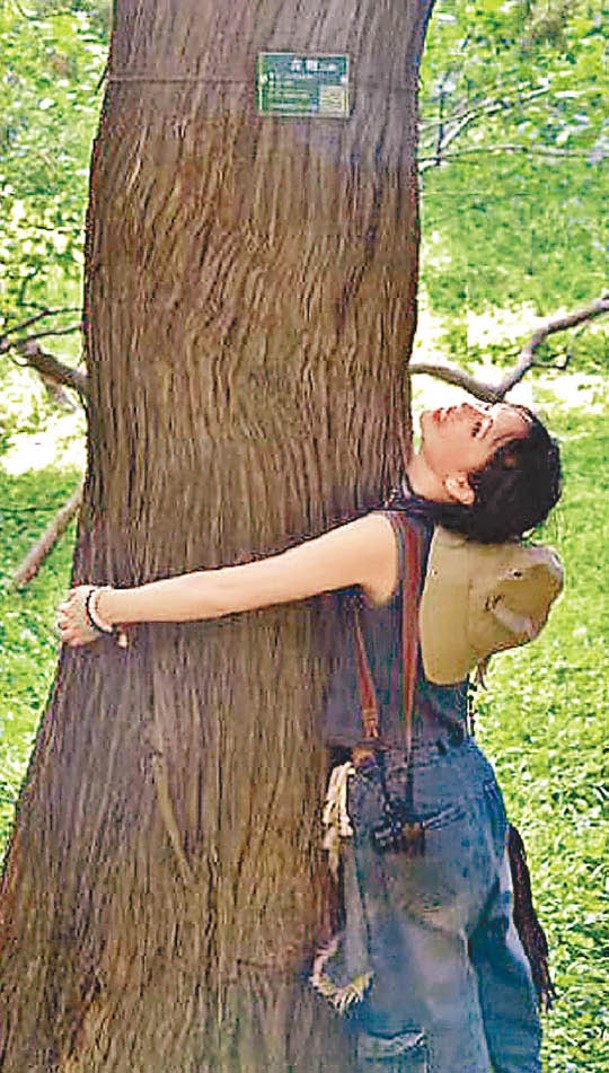 抱樹成為年輕人潮流。