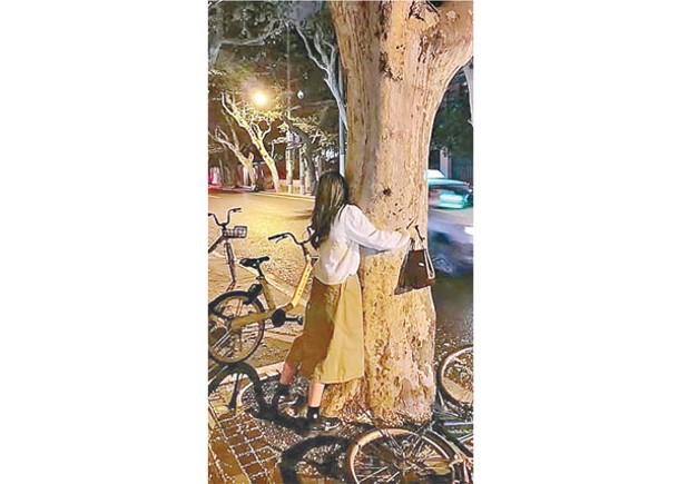 不少民眾分享自己抱樹的照片。