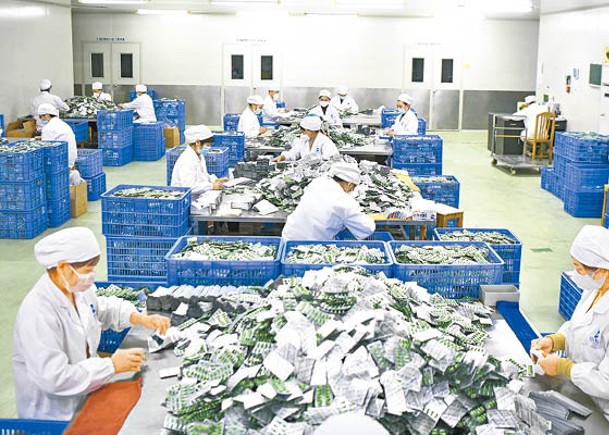 湖南省工人在包裝車間進行藥品包裝。  （中新社圖片）