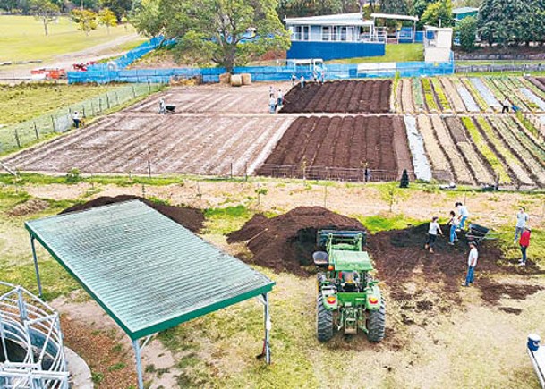該中學與農場項目合作發展菜園。