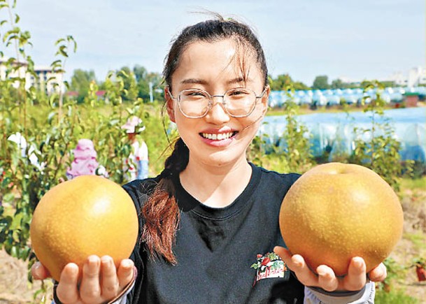 海歸女 打造田園綜合體 農旅居瓣瓣齊