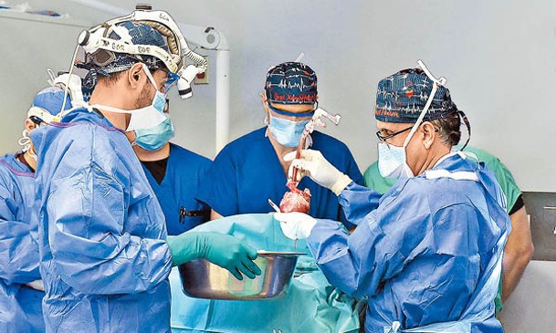 醫生為福西特施行豬心移植手術。