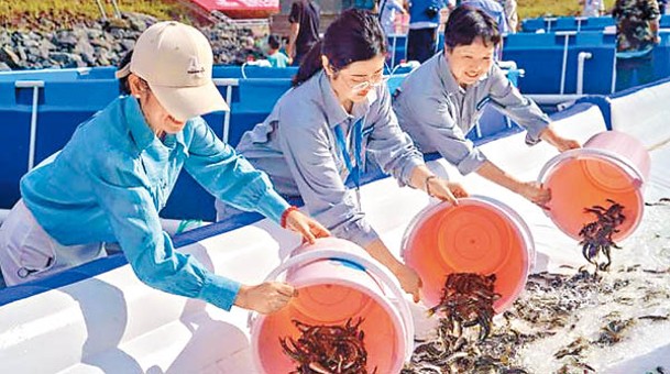 工作人員在活動中共放流超過85萬條稀有魚類。