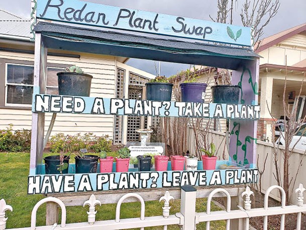 魯賓遜建立社區植物架。