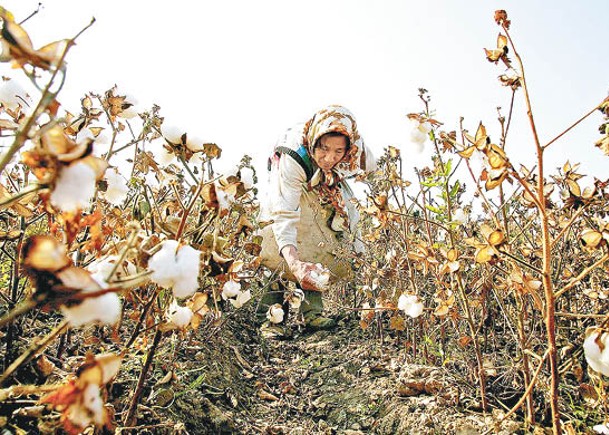 美國就新疆強迫勞動制裁更多中國企業。（Getty Images圖片）