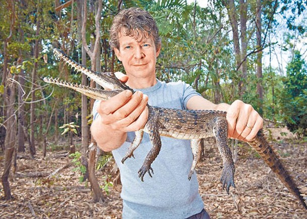 虐待性侵狗隻39死  澳洲鱷魚專家候判