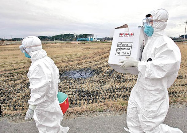 南韓大消毒  防禽流感非洲豬瘟