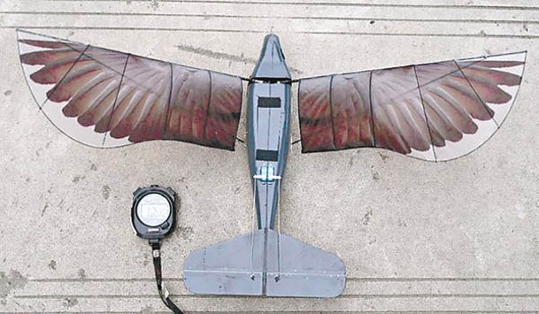 仿生飛行器「信鴿」（圖）續航時間打破健力士世界紀錄。